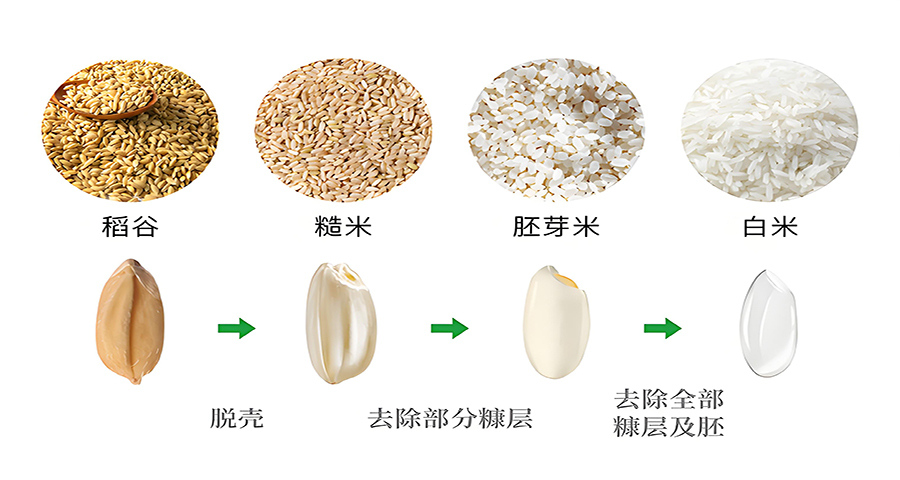 大米品牌戰(zhàn)略分析